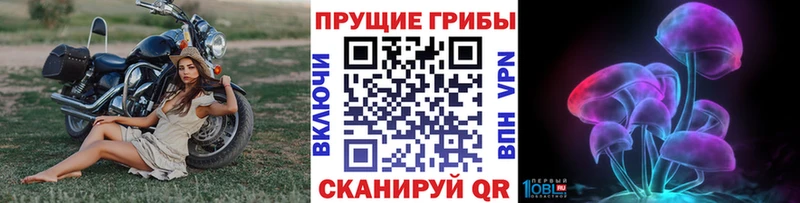 Псилоцибиновые грибы Cubensis Дыгулыбгей